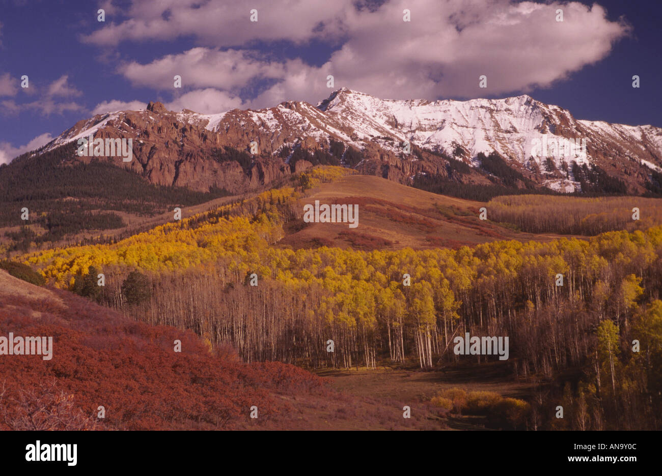 Sneffels Range, view from West Dallas Creek Rd, aspens in fall foliage, San Juan Mtns, Colorado, USA Stock Photo