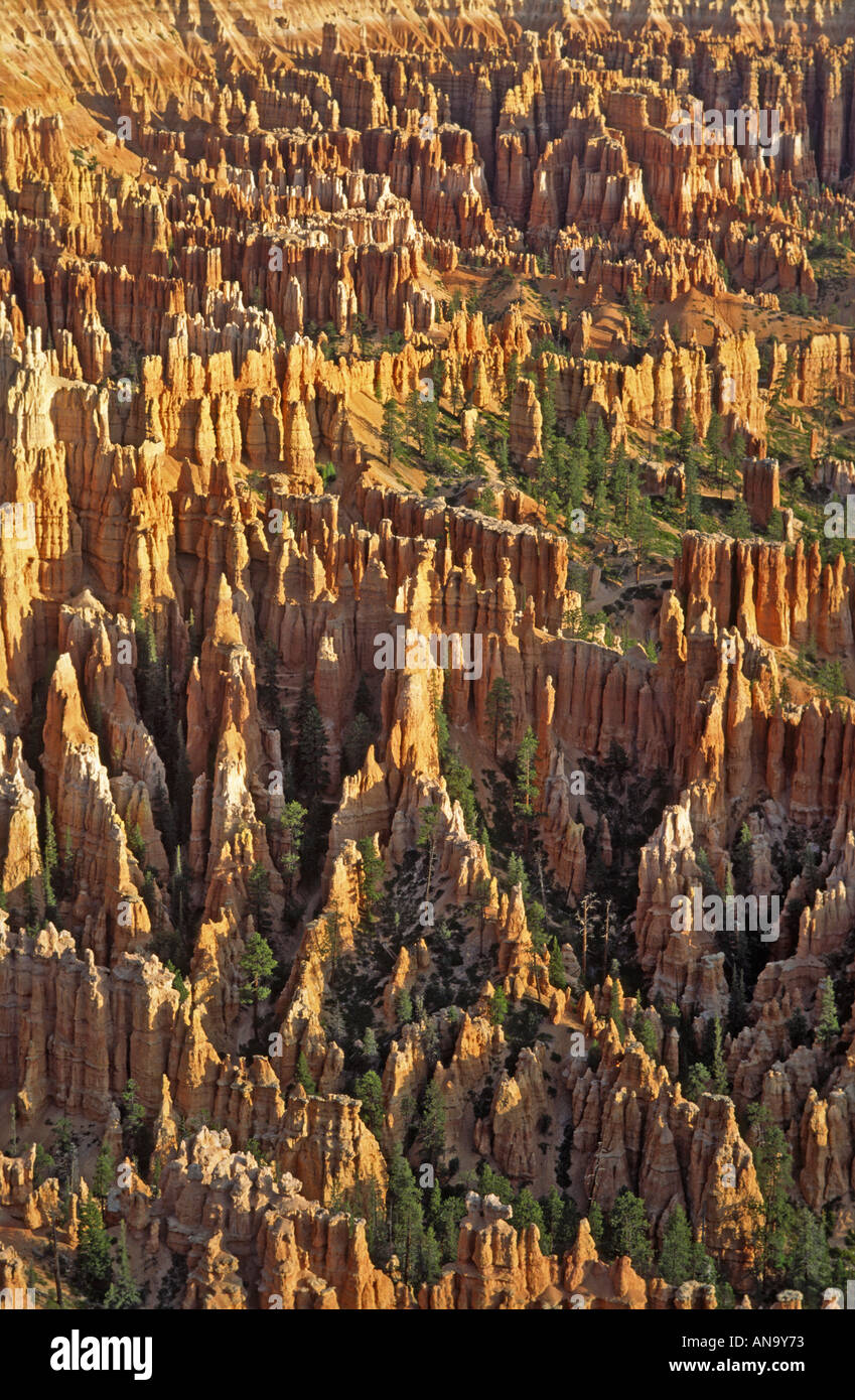 Bryce Amphitheater from Bryce Point, sunrise, Bryce Canyon National ...