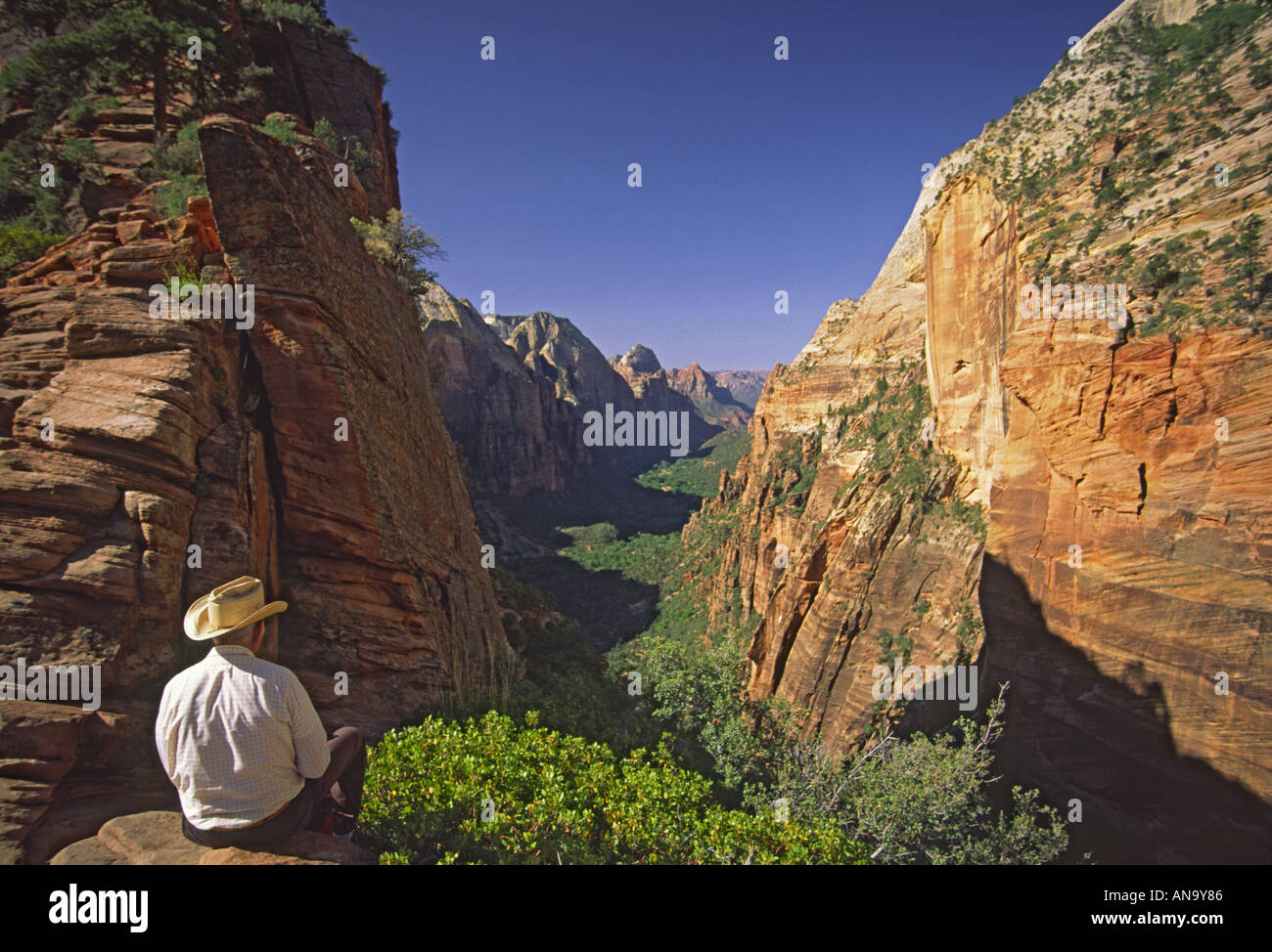 Hiker at Angels Landing, Zion Canyon below, Zion National Park, Utah, USA Stock Photo