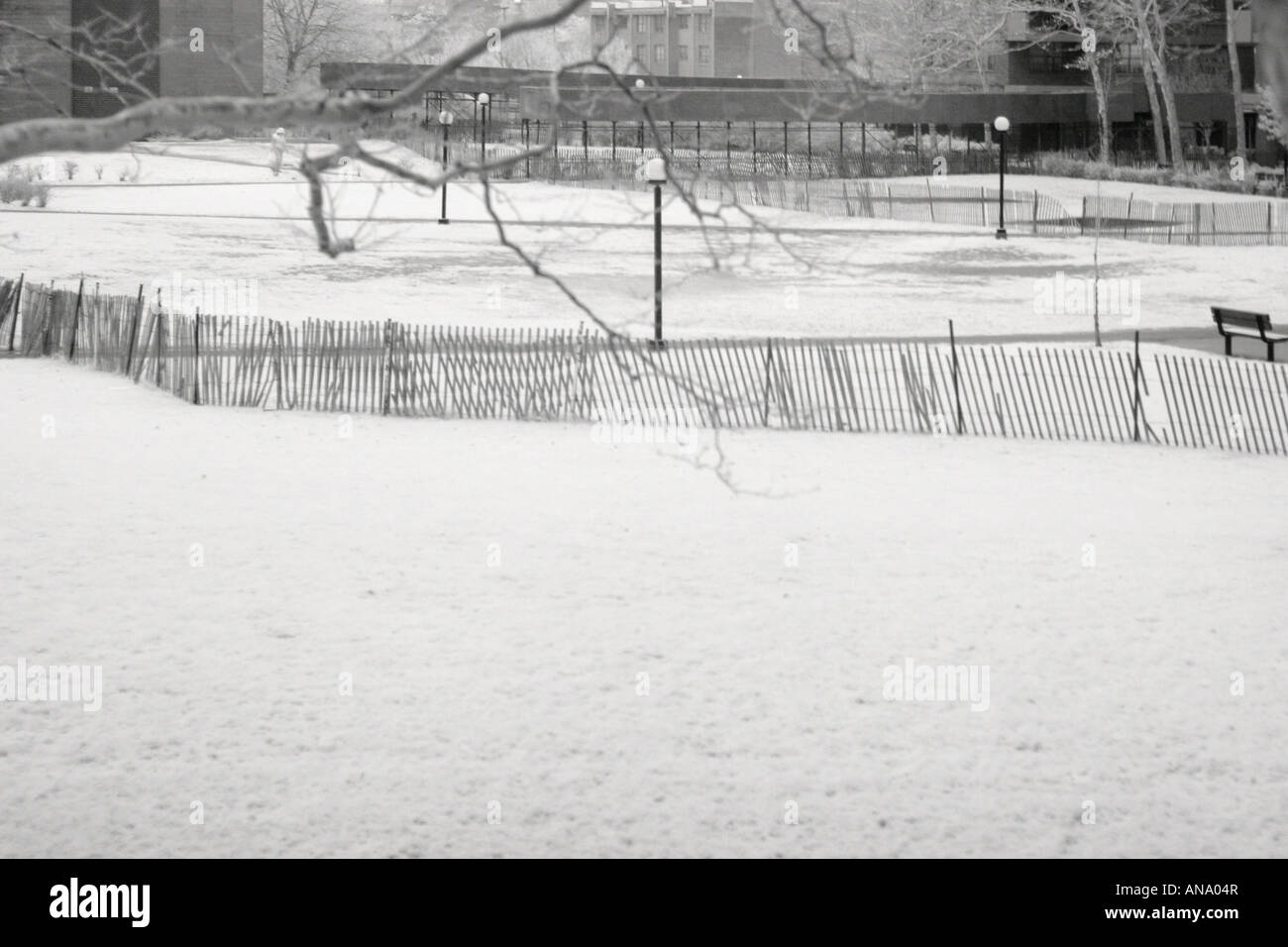 Bronx Landscape High Resolution Stock Photography and Images - Alamy