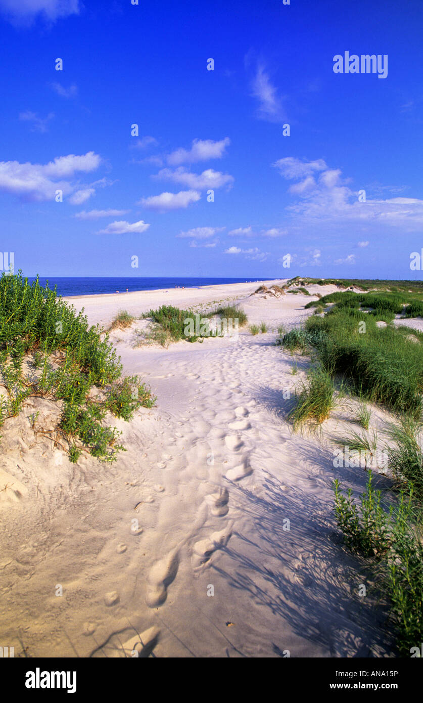 Footprints footsteps in sand on Pea Island beach Outer Banks North