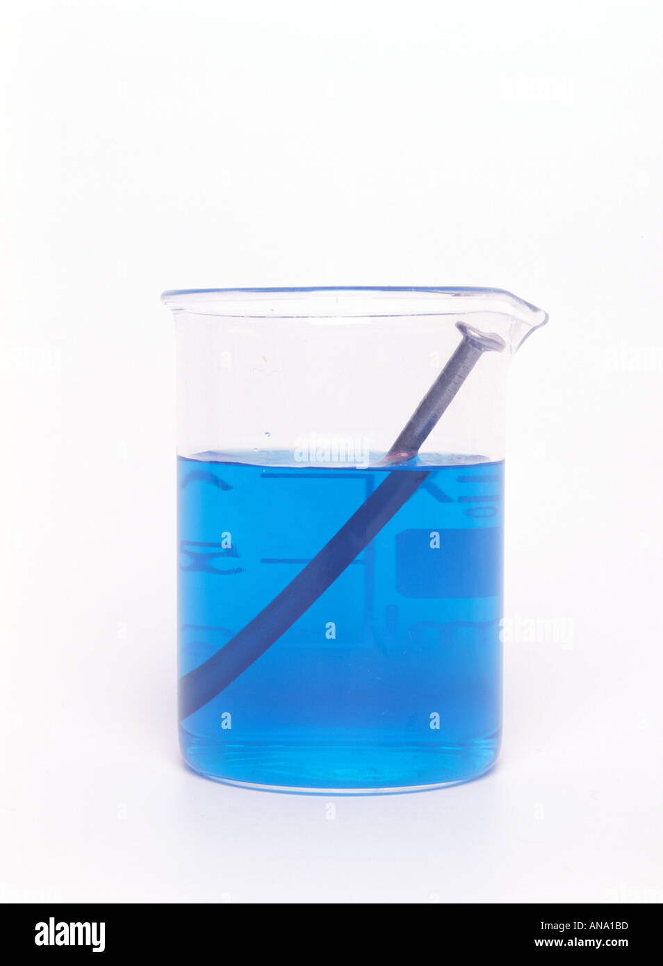 an iron nail in copper sulphate solution at the start of plating Stock Photo