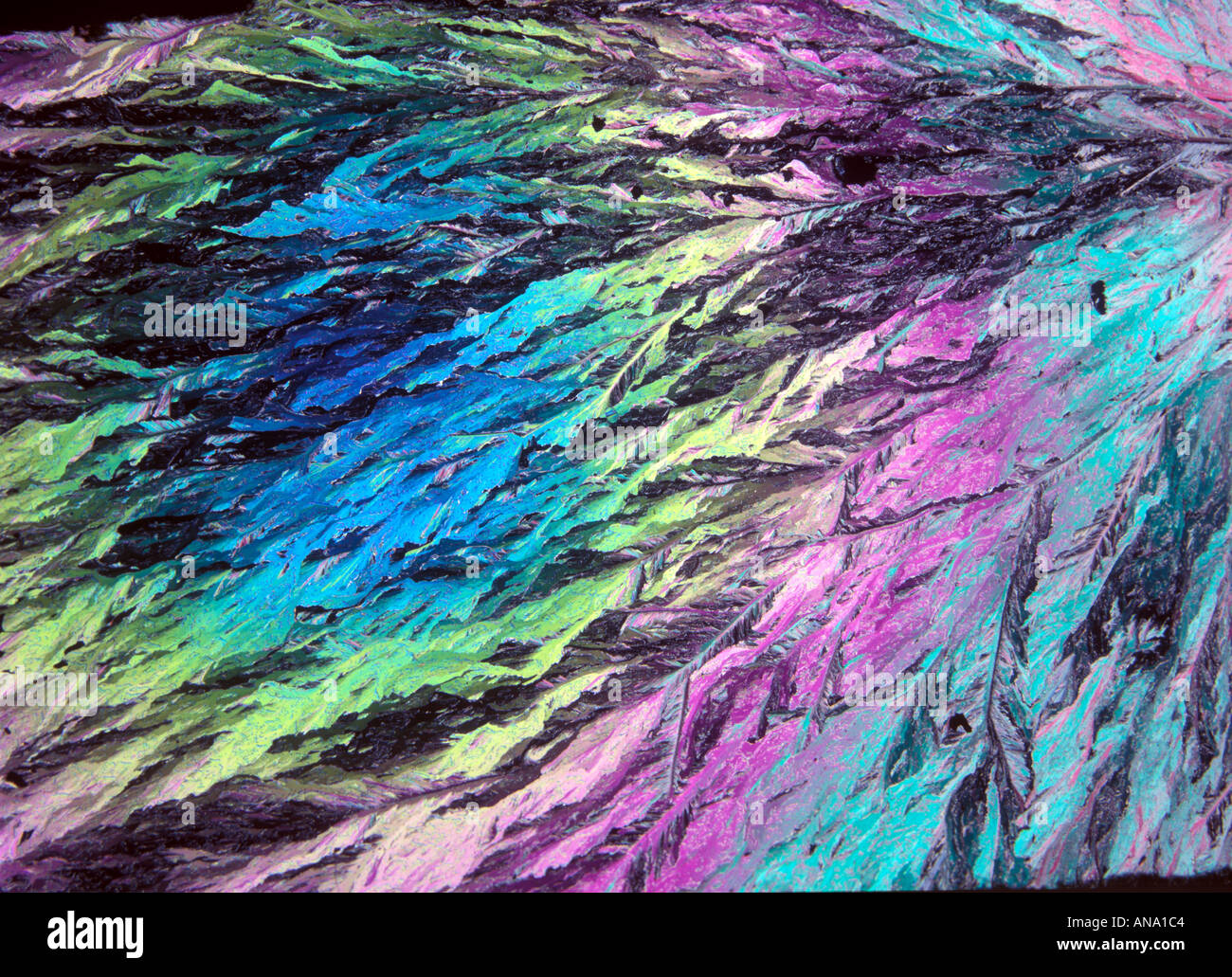 menthol crystals in polarized light Stock Photo