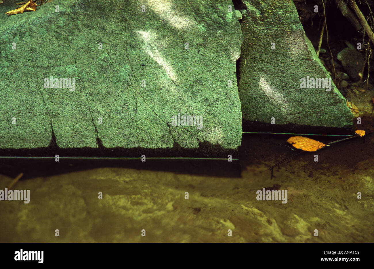 Yellow leaves leaf and green boulder Stock Photo