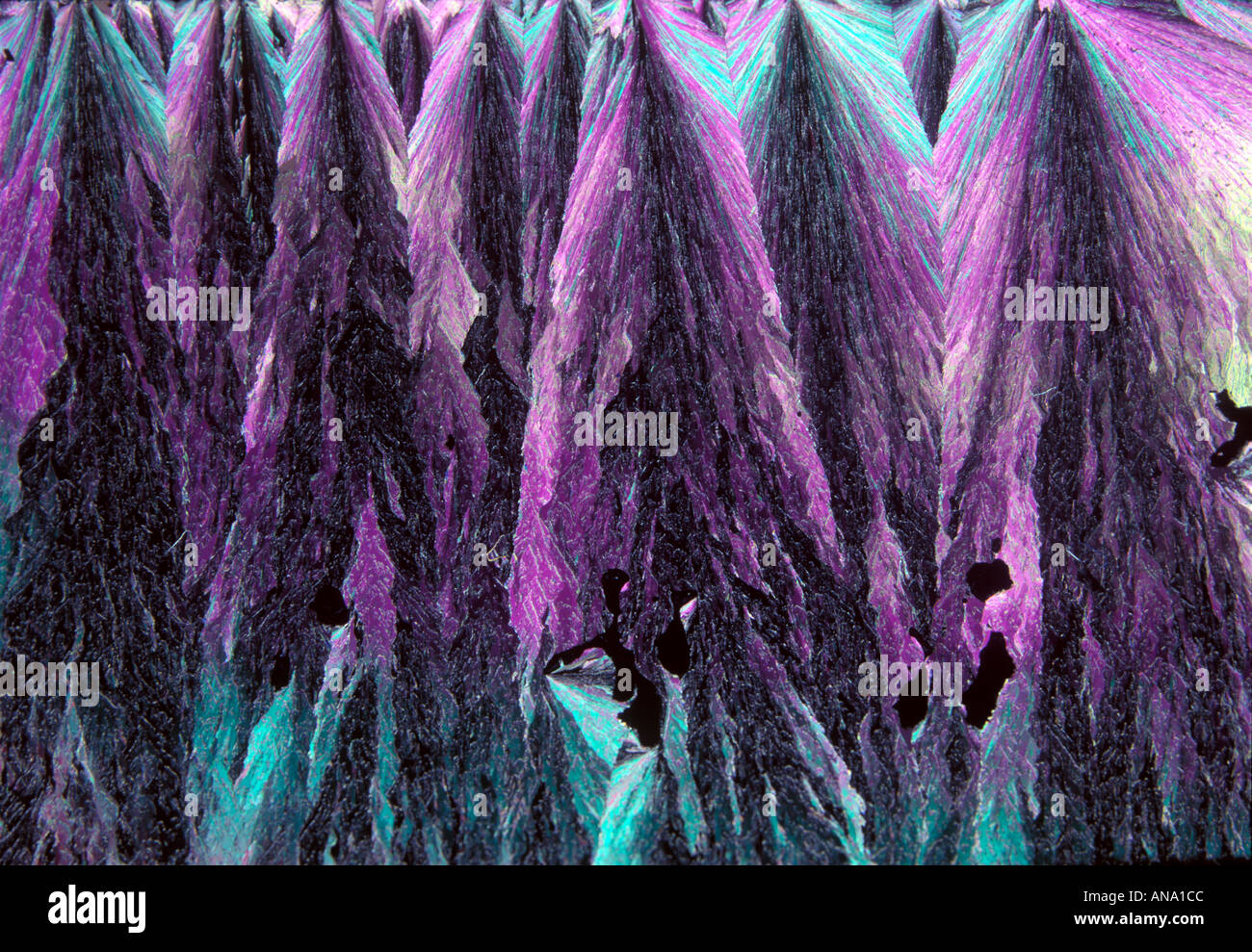 menthol crystals in polarised light Stock Photo