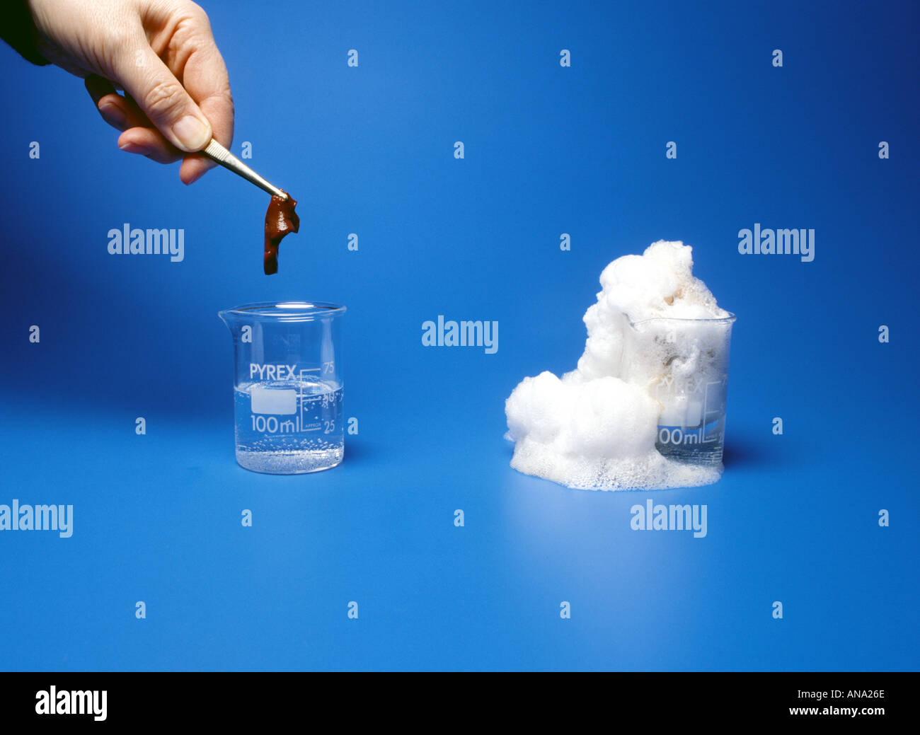 Catalase Stock Photos & Catalase Stock Images - Alamy