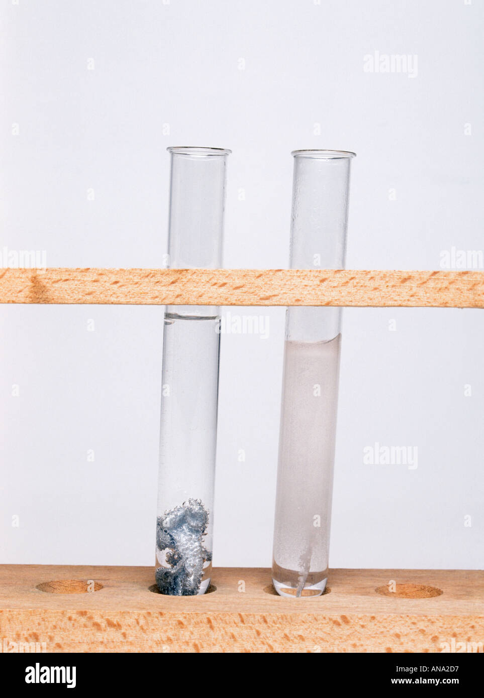 magnesium on the right reacts more vigorously than zinc with hydrochloric acid Stock Photo