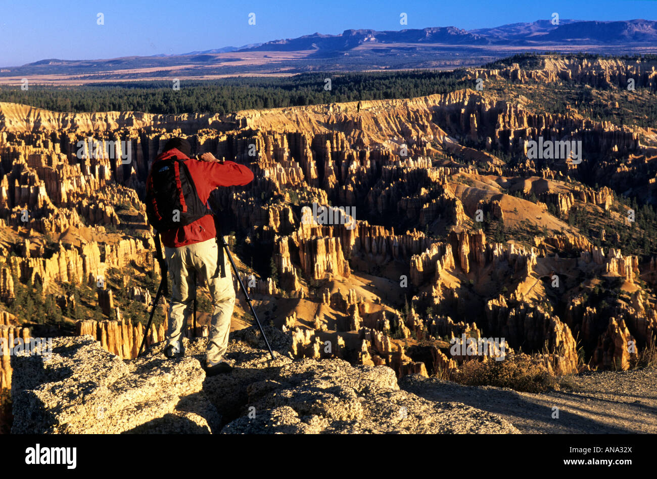 Photographer Bryce Amphitheater Bryce Canyon National Park Utah USA Stock Photo
