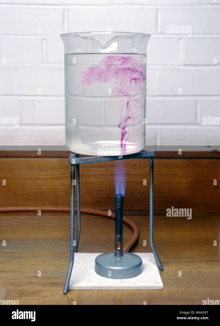 demonstration of convection in water with potassium permanganate crystal to colour the water -note tripod but NO gauze Stock Photo
