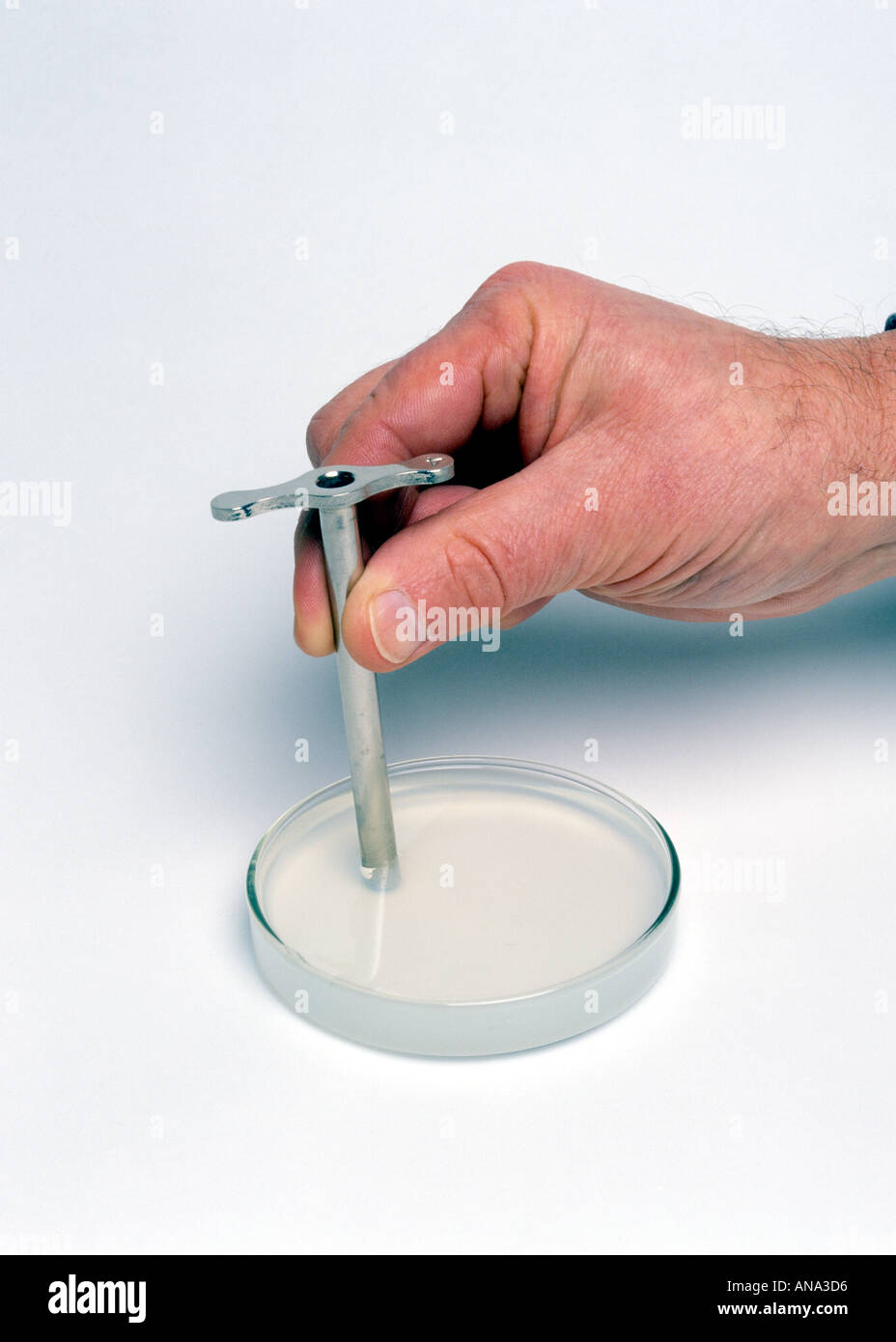 Cork Borer Chemistry