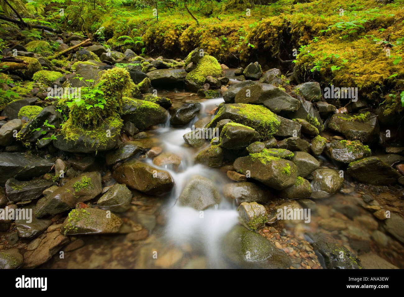 Olympic natural resources center