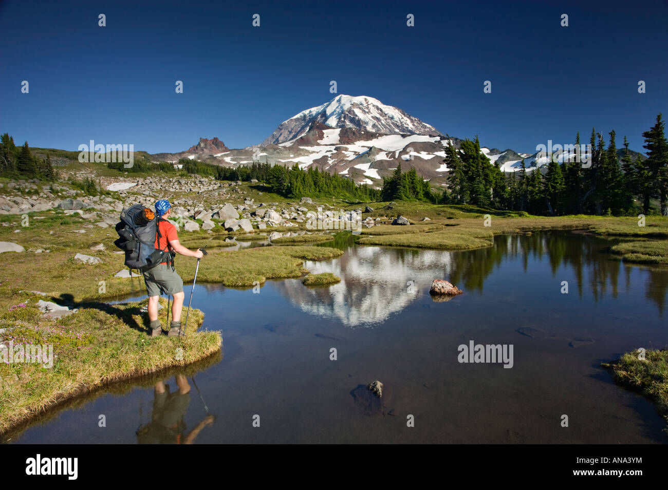 Backpacker and Mt Rainier reflection Stock Photo - Alamy