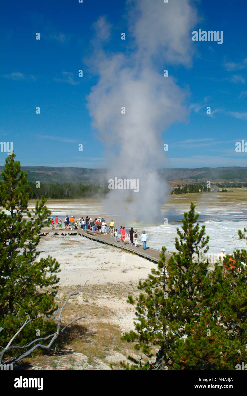 General View of Clepsydra Geyser Lower Geyser Basin Yellowstone National Park ountain Paint Pot Trail Wyoming USA Stock Photo
