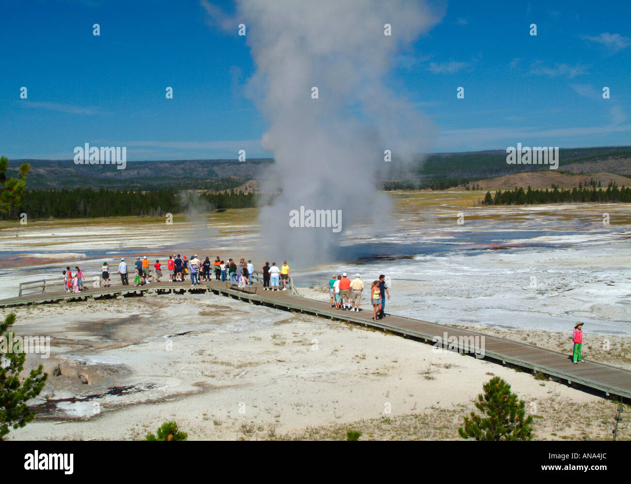 General View of Clepsydra Geyser Lower Geyser Basin Yellowstone National Park Fountain Paint Pot Trail Wyoming USA Stock Photo