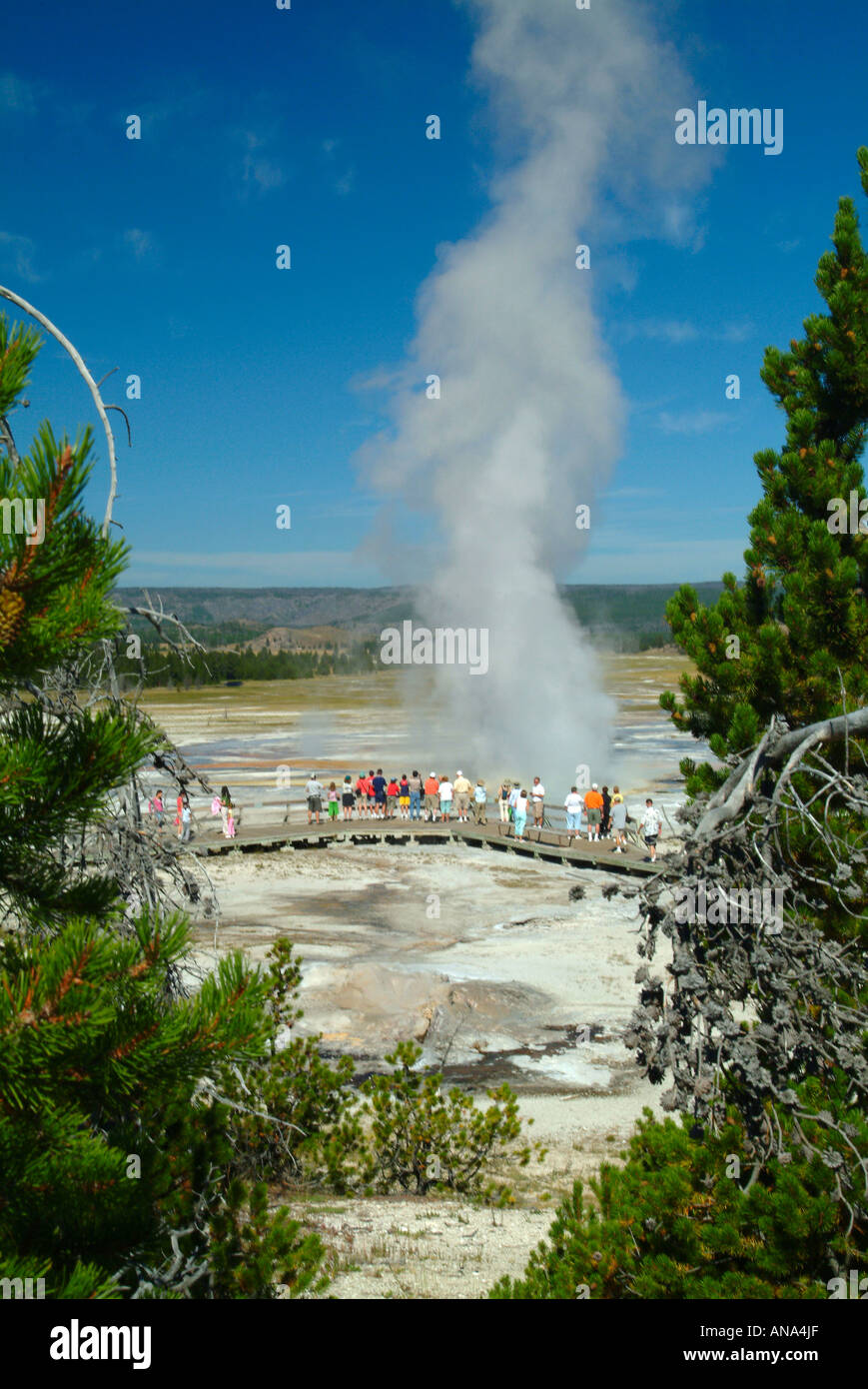 General View of Clepsydra Geyser Lower Geyser Basin Yellowstone National Park Fountain Paint Pot Trail Wyoming USA Stock Photo