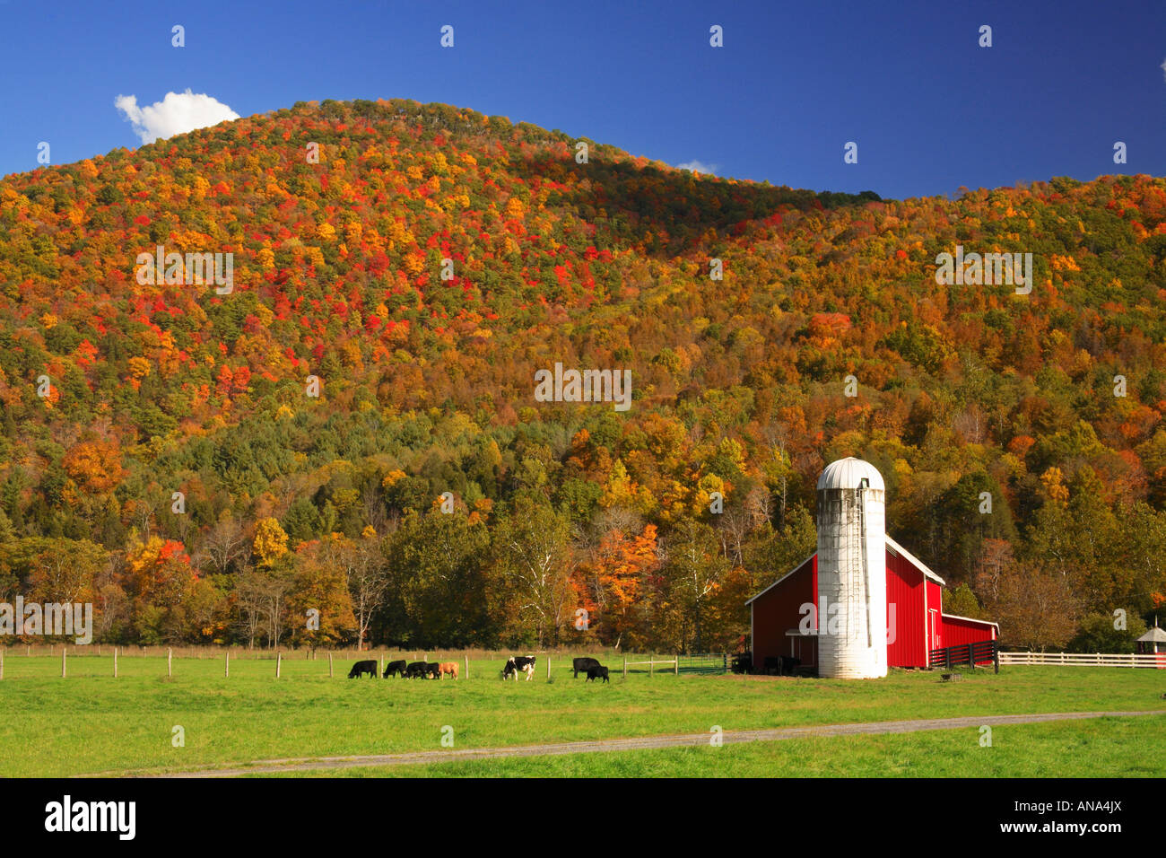 Farm, Franklin, West Virginia, USA Stock Photo Alamy