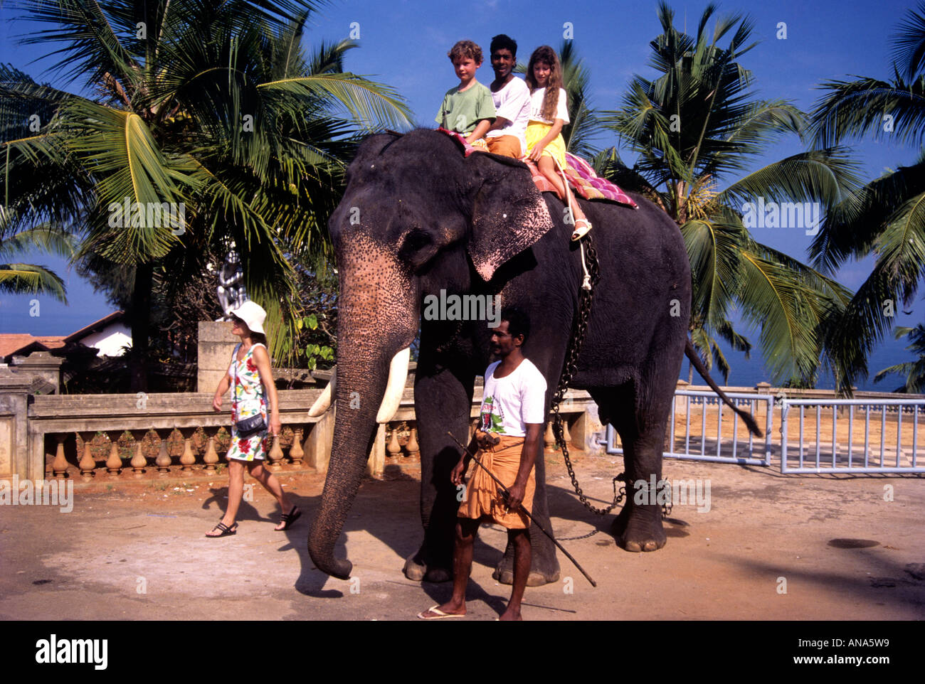 TOURISTS ENJOYING THEIR RIDE ON ELEPHANT IN KOVALAM TRIVANDRUM Stock