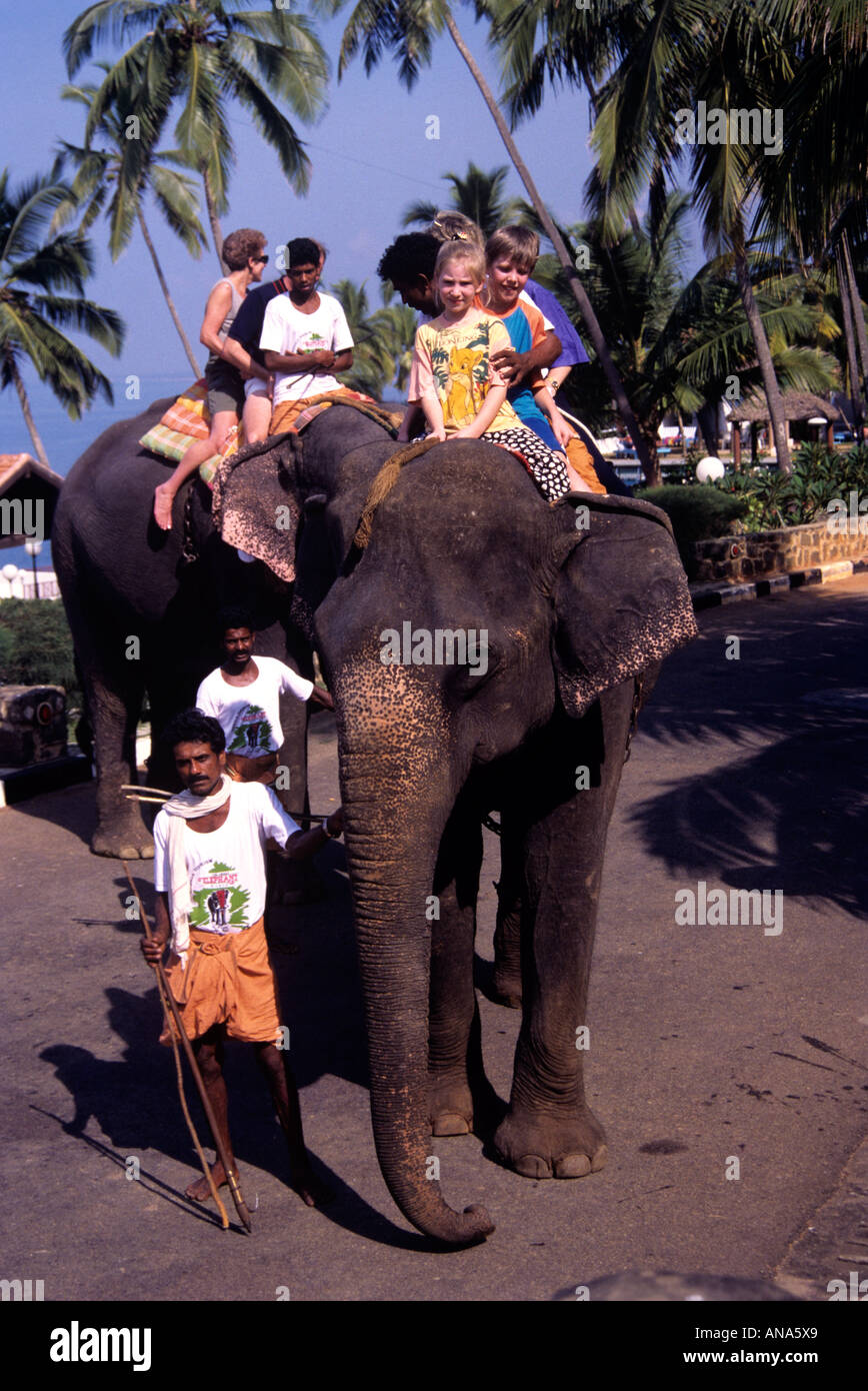 TOURISTS ENJOYING THEIR RIDE ON ELEPHANT IN KOVALAM TRIVANDRUM Stock Photo Alamy