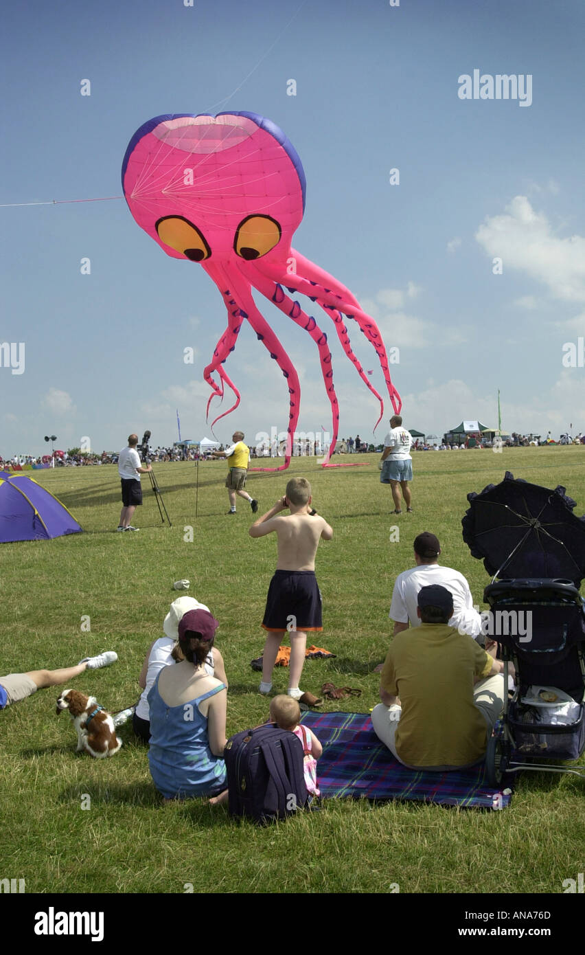 Blow downs hires stock photography and