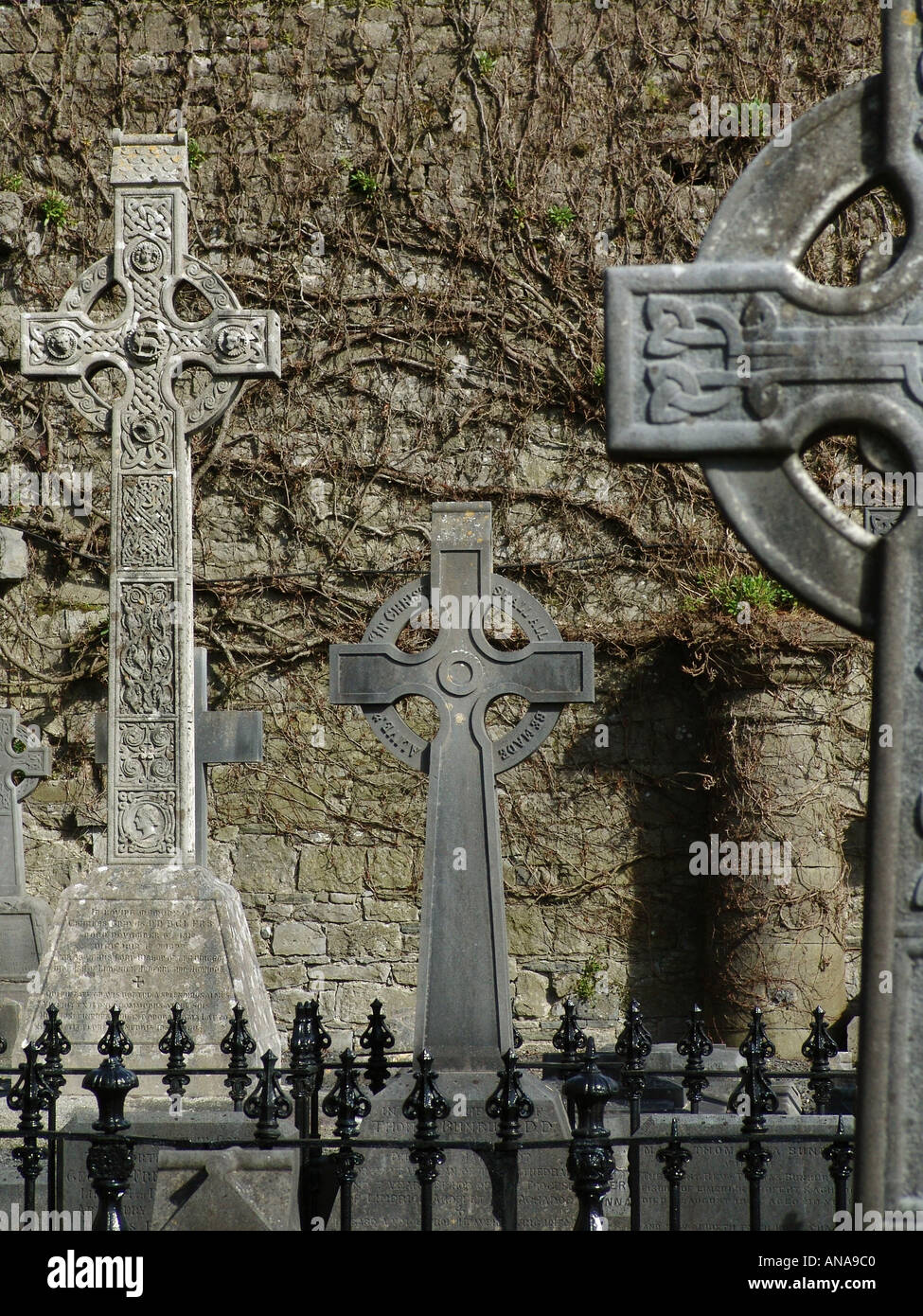 St Marys Cathedral Limerick County Ireland EU 2004 Stock Photo Alamy