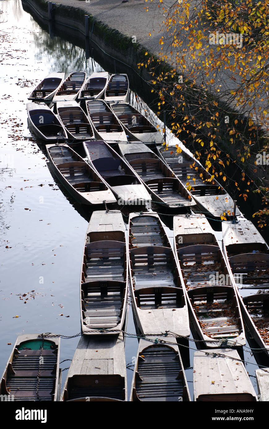 Punts on River Cherwell by Magdalen Bridge in autumn, Oxford, Oxfordshire, England, UK Stock Photo
