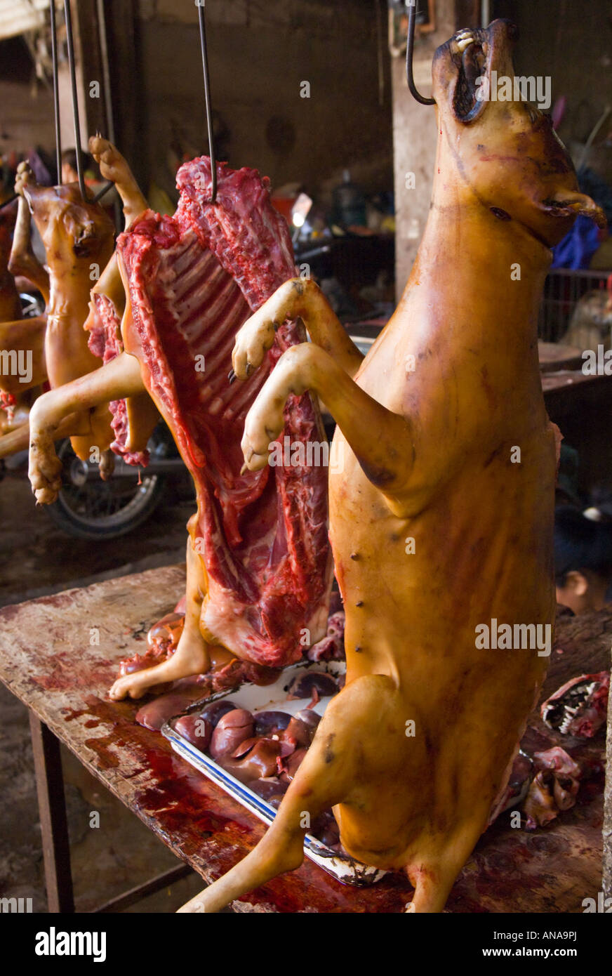 China Guangxi Yuangshuo local food market dog meat for sale hanging cooked dogs Stock Photo