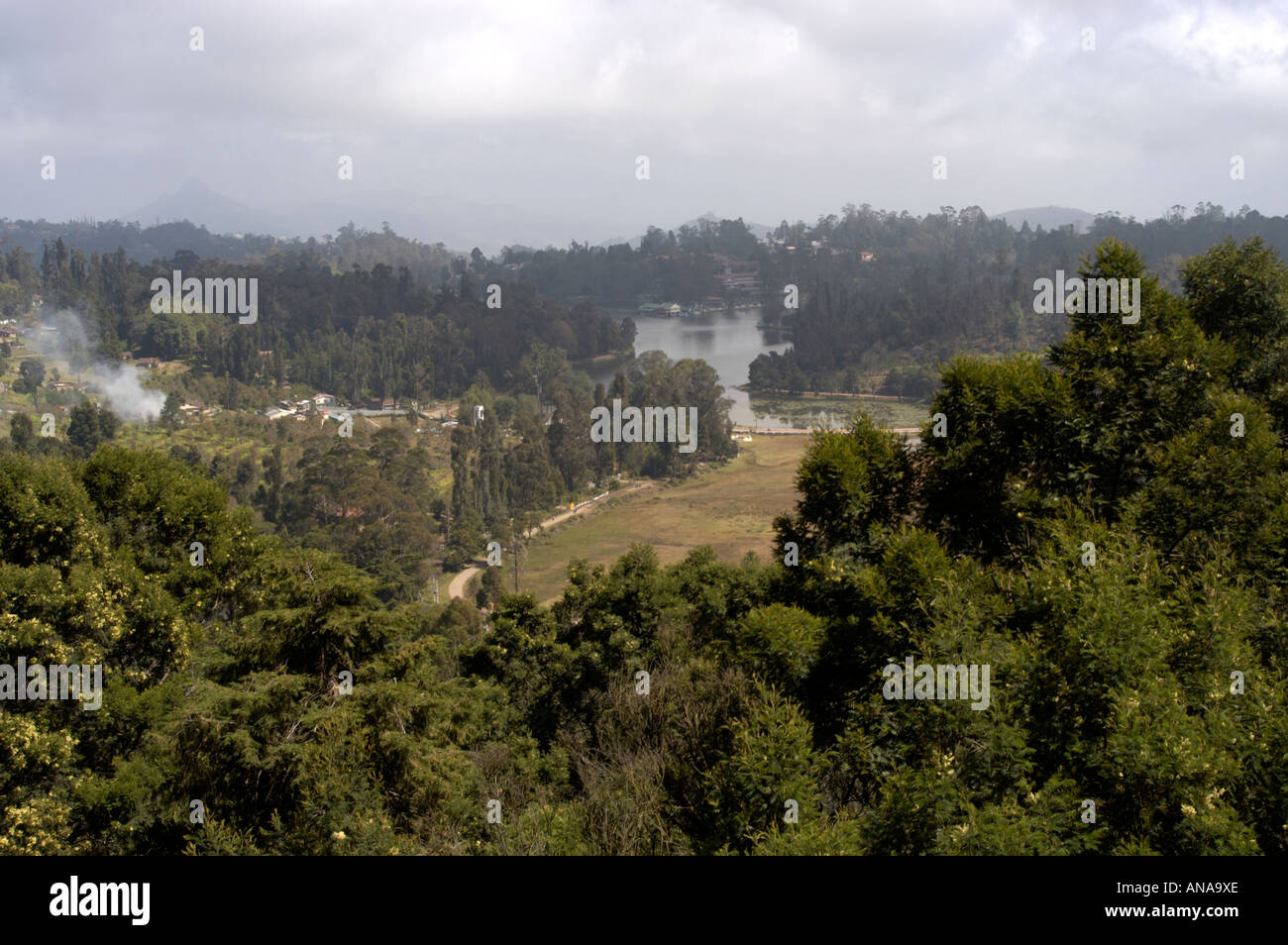KODAIKANAL, PALANI HILLS, TAMIL NADU Stock Photo