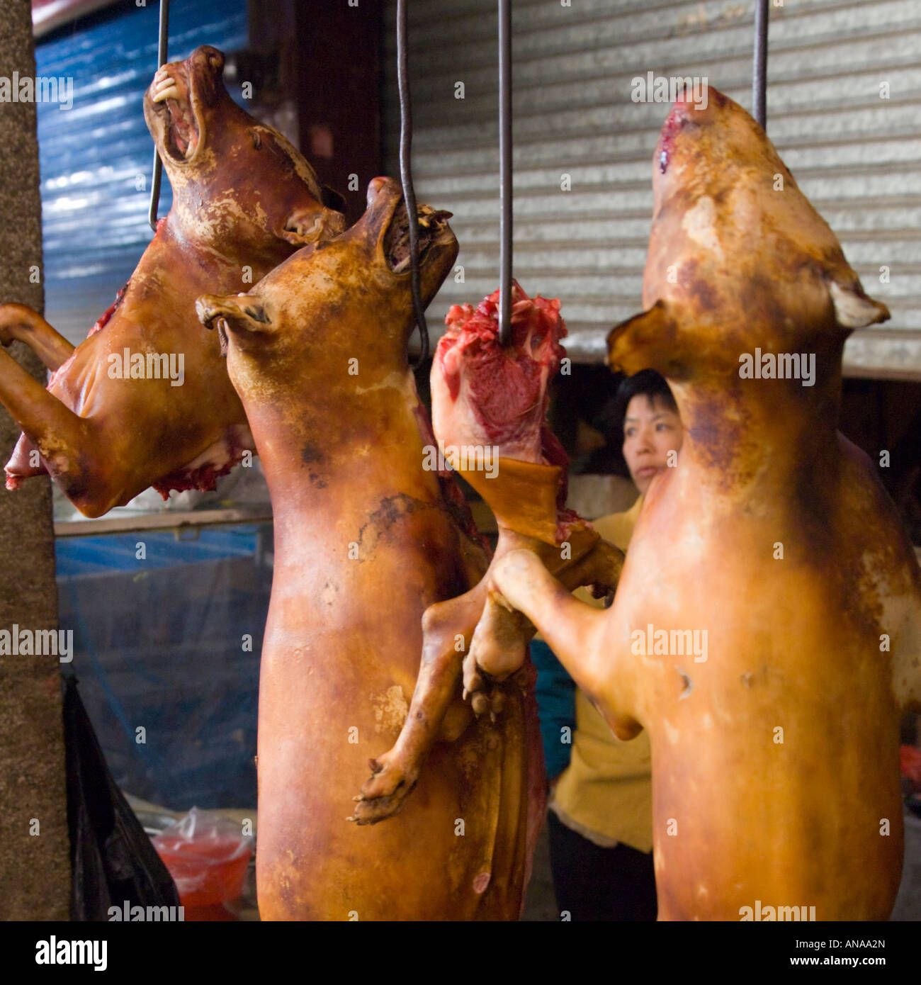 China Guangxi Yuangshuo local food market dog meat for sale hanging cooked dogs Stock Photo