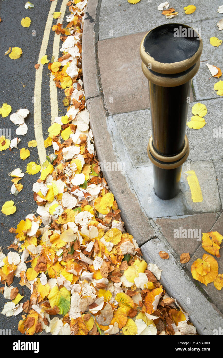 Kerb with double yellow lines partially covered by fallen autumn leaves in Exeter City, England, UK Stock Photo