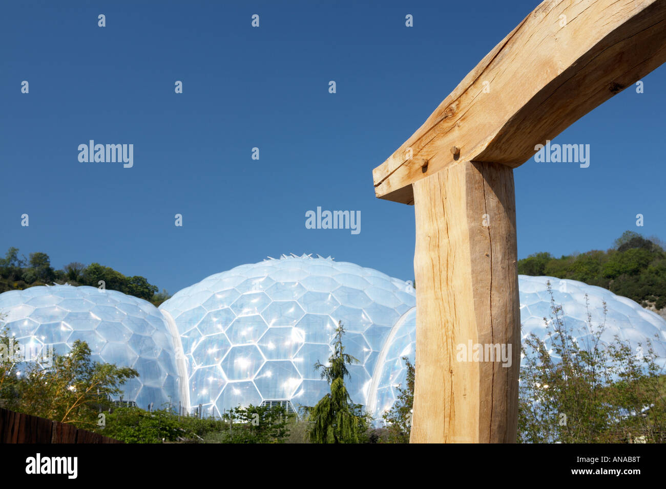 Wooden mortice and tenon joint at the Eden Project in Cornwall county England UK Stock Photo