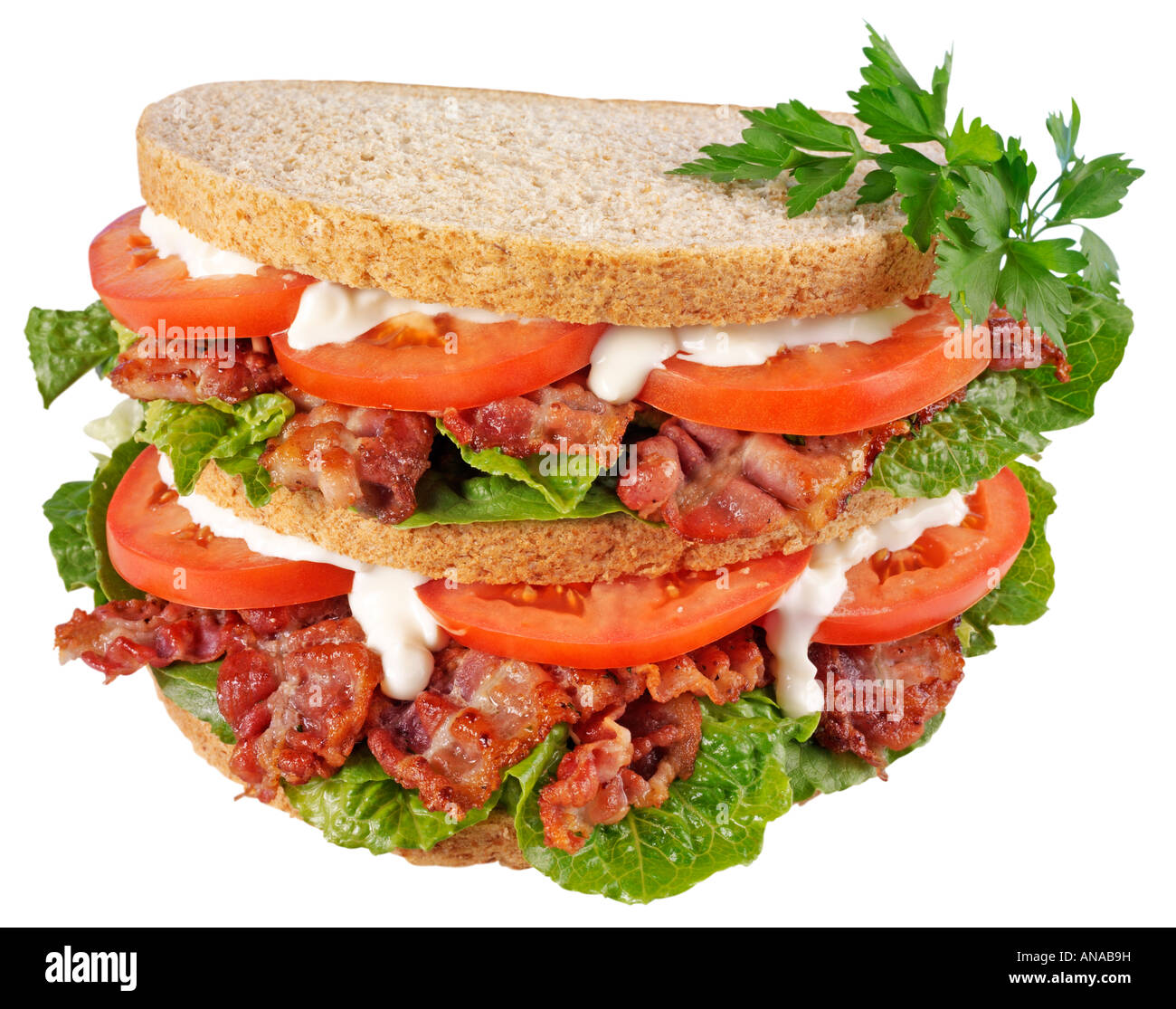 BACON LETTUCE AND TOMATO SANDWICH,CUT OUT Stock Photo Alamy