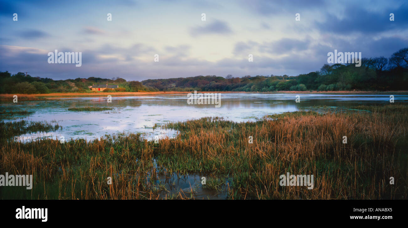 Millars Park Marshes Landshipping Quay Martletwy Pembrokeshire National Park Wales UK Stock
