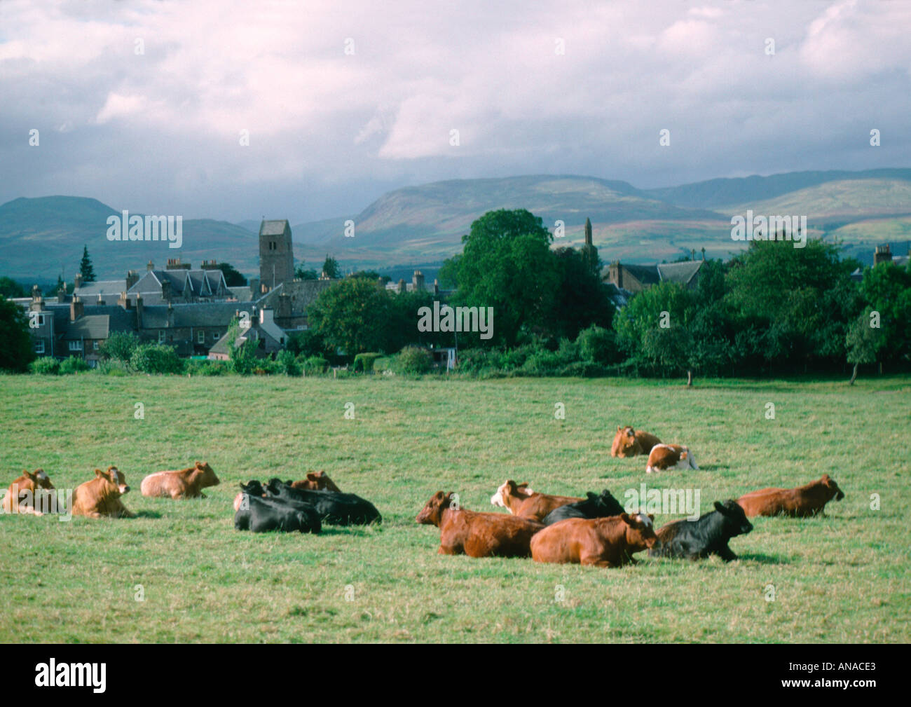 Overlooking Muthill and Strathearn Perthshire Scotland Stock Photo