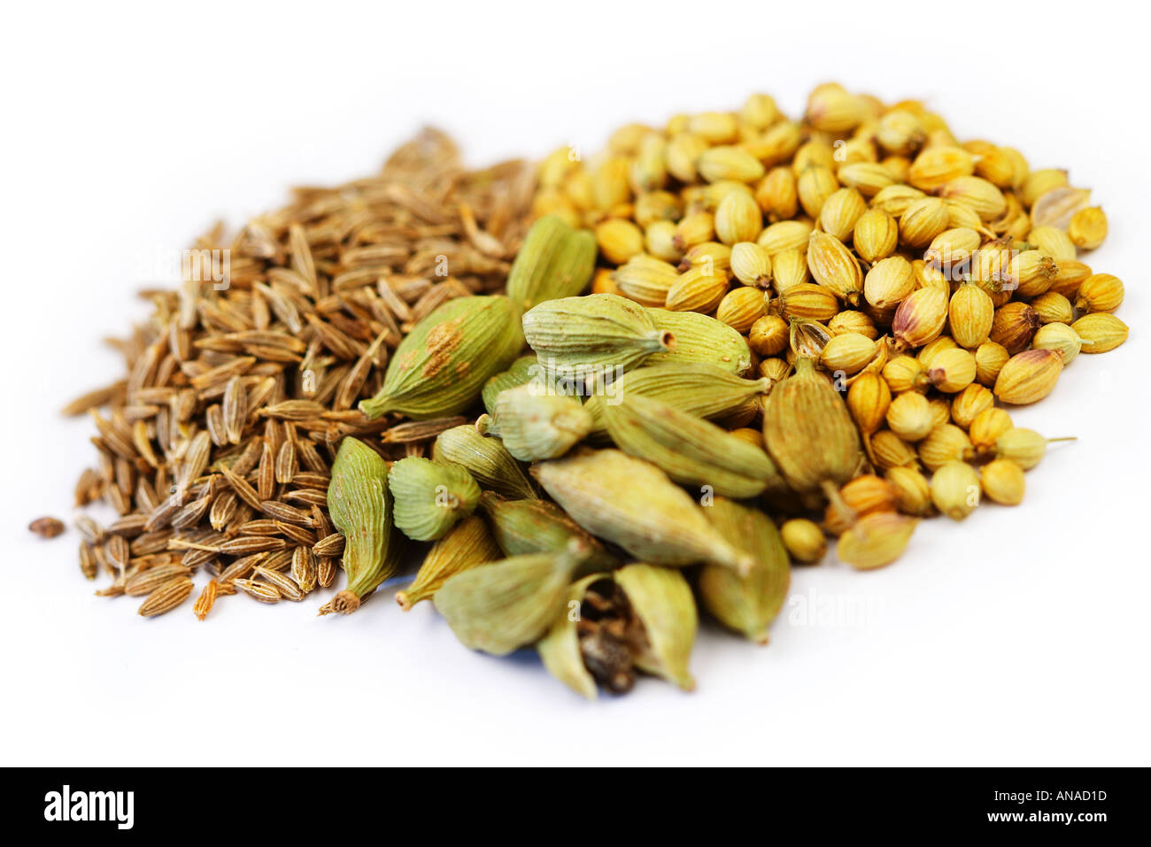 Curry spices Cardamom Cumin and Coriander seeds on high key white Stock