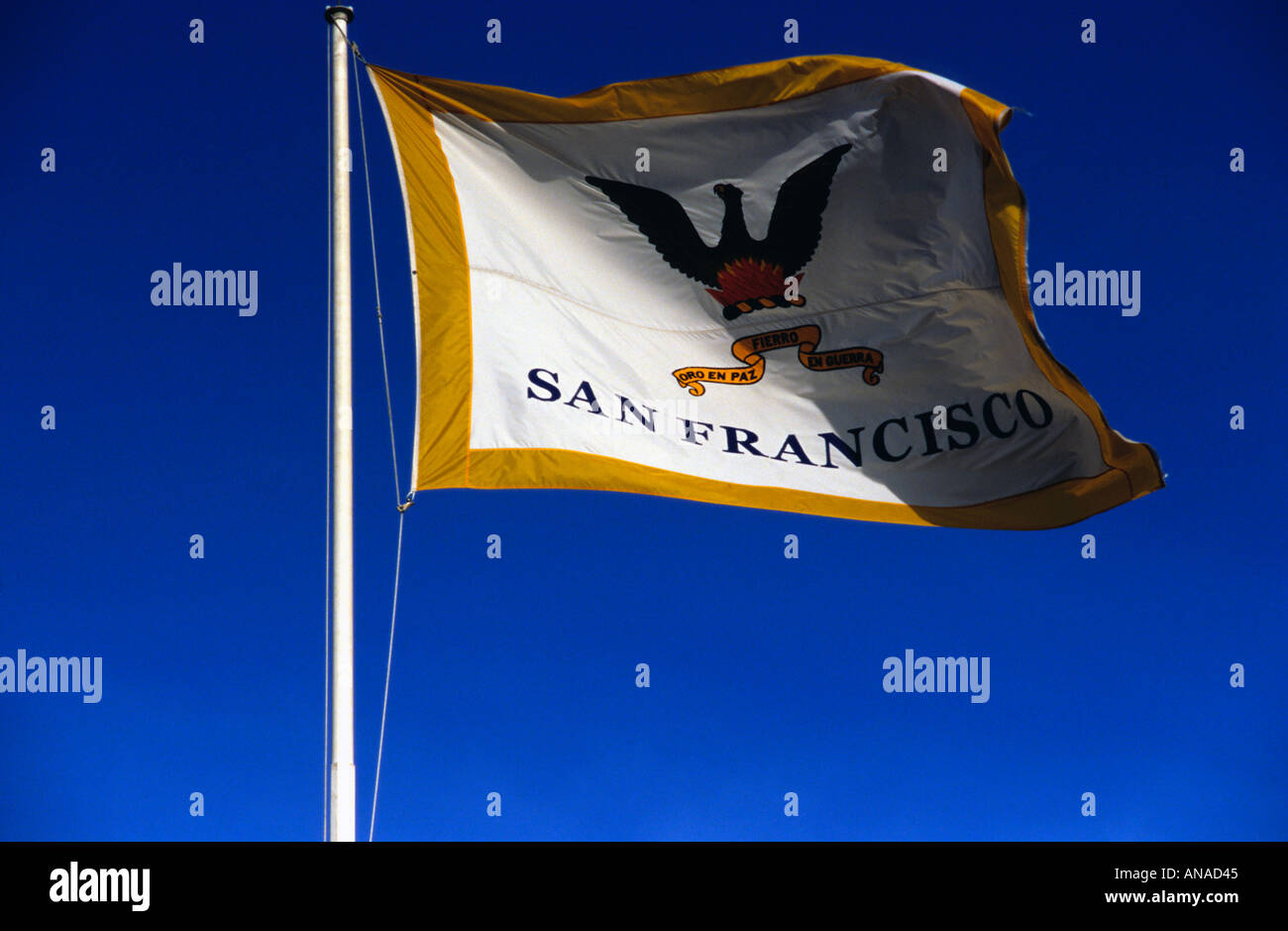 California State Flag, San Francisco, USA Stock Photo