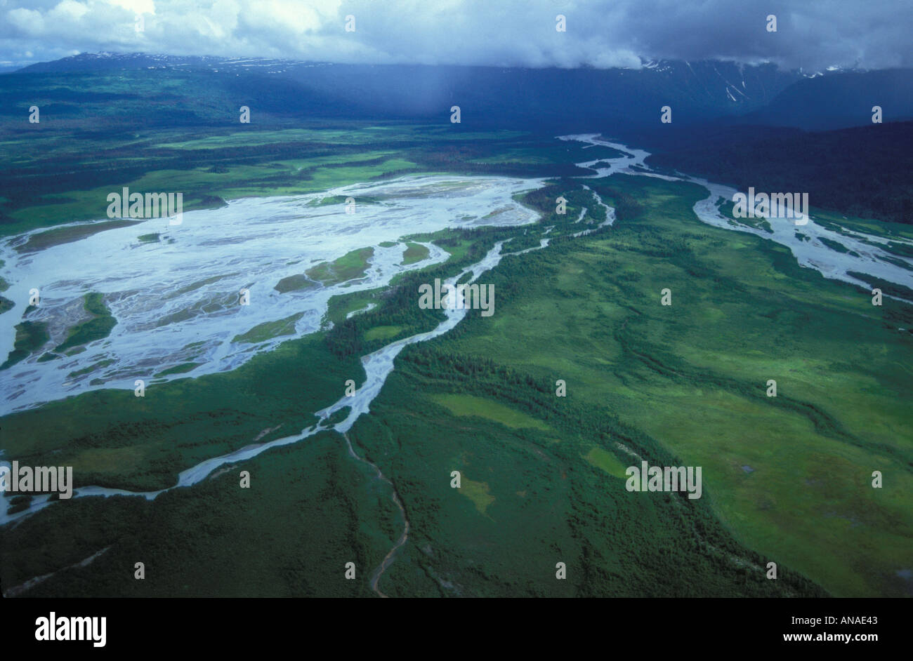 Braided and siltladen Big River in marshland and swamp at Bachatna flats along Cook Inlet Lake Clark National Park Alaska USA Stock Photo