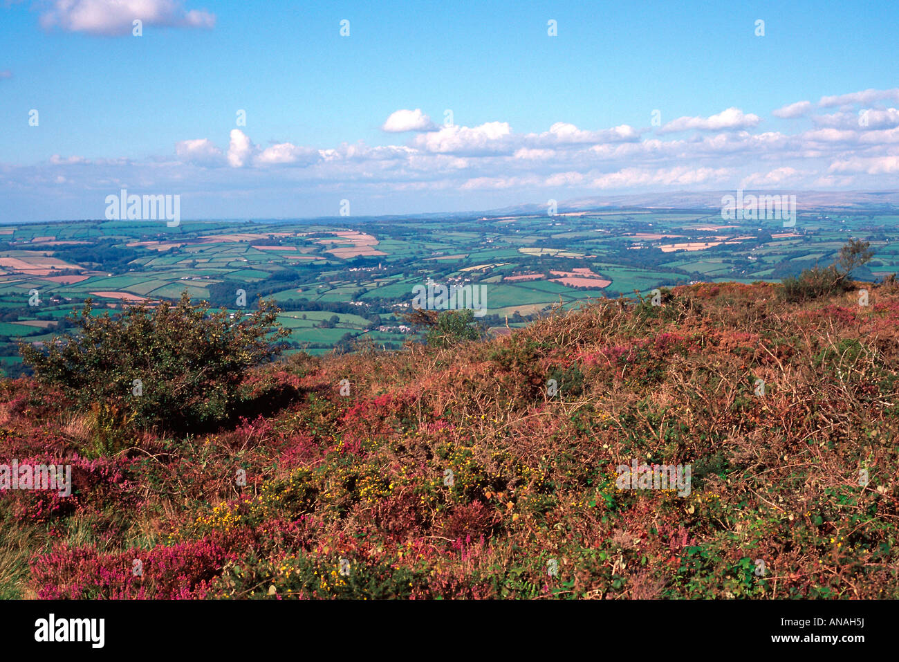 kits hill view east cornwall england uk gb Stock Photo Alamy