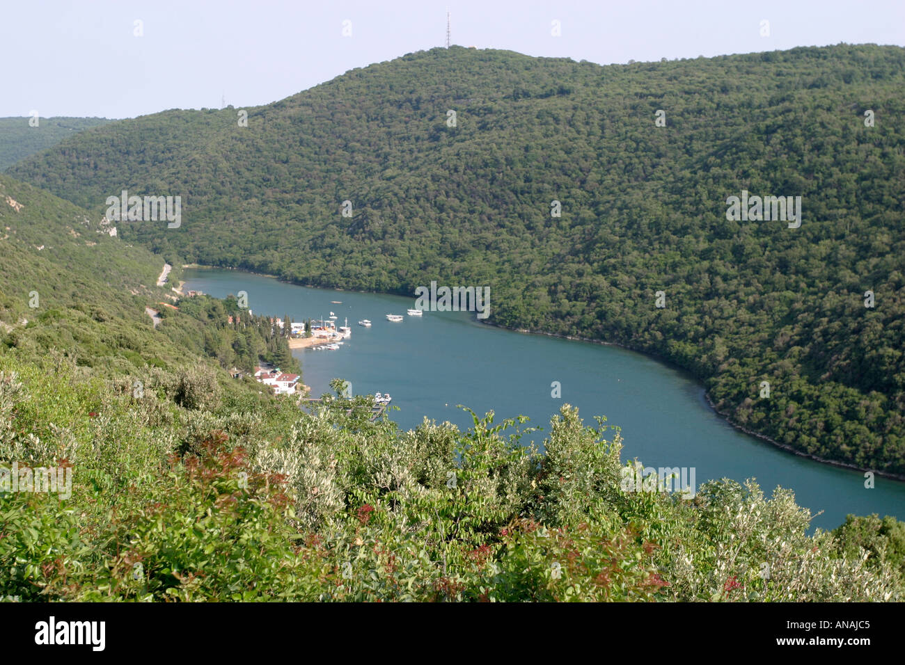 Limski Kanal Istria Croatia Stock Photo