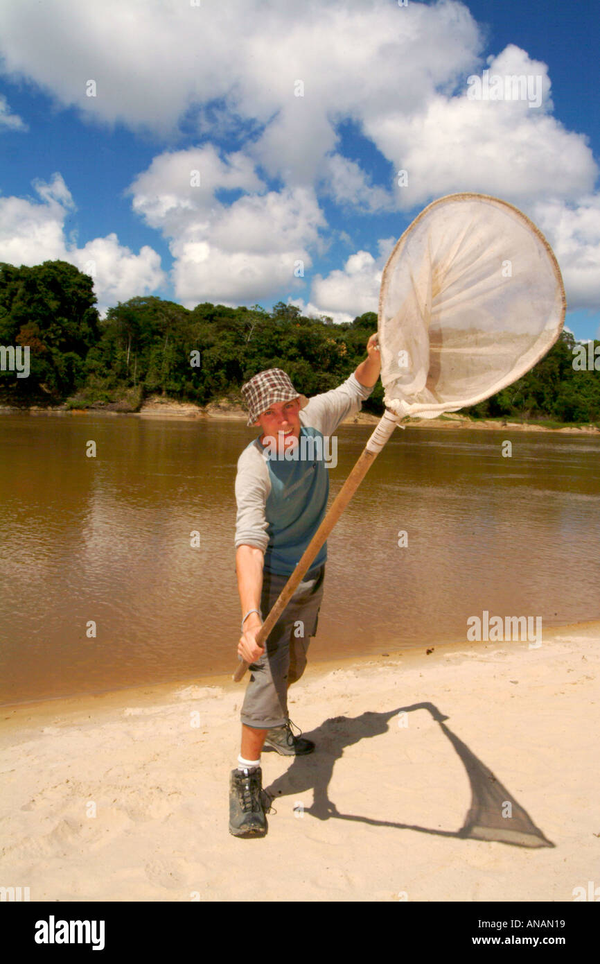 Butterfly Researcher Catching butterflies Stock Photo