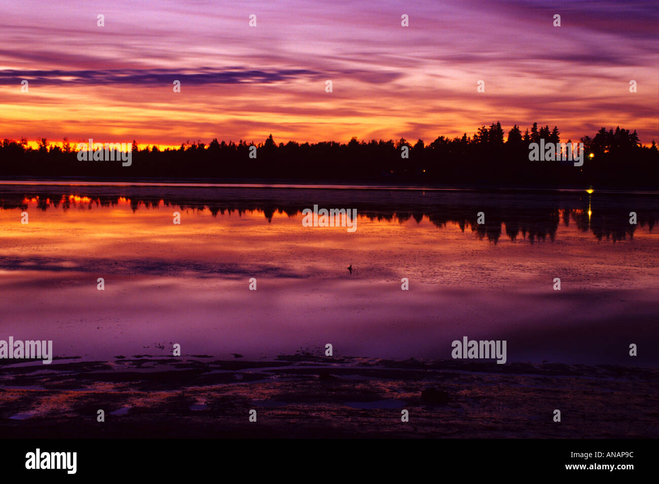 Twilight in Grande Digue New Brunswick Canada Stock Photo Alamy