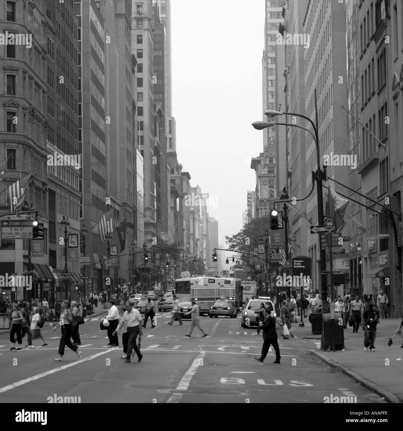 New York City Stock Photo