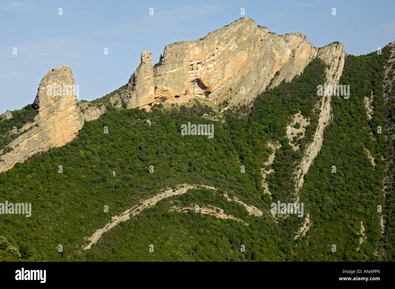 griffon vulture (Gyps fulvus), breading rocks at the village Agueero, Spain, Pyrenaeen, Agueero Stock Photo