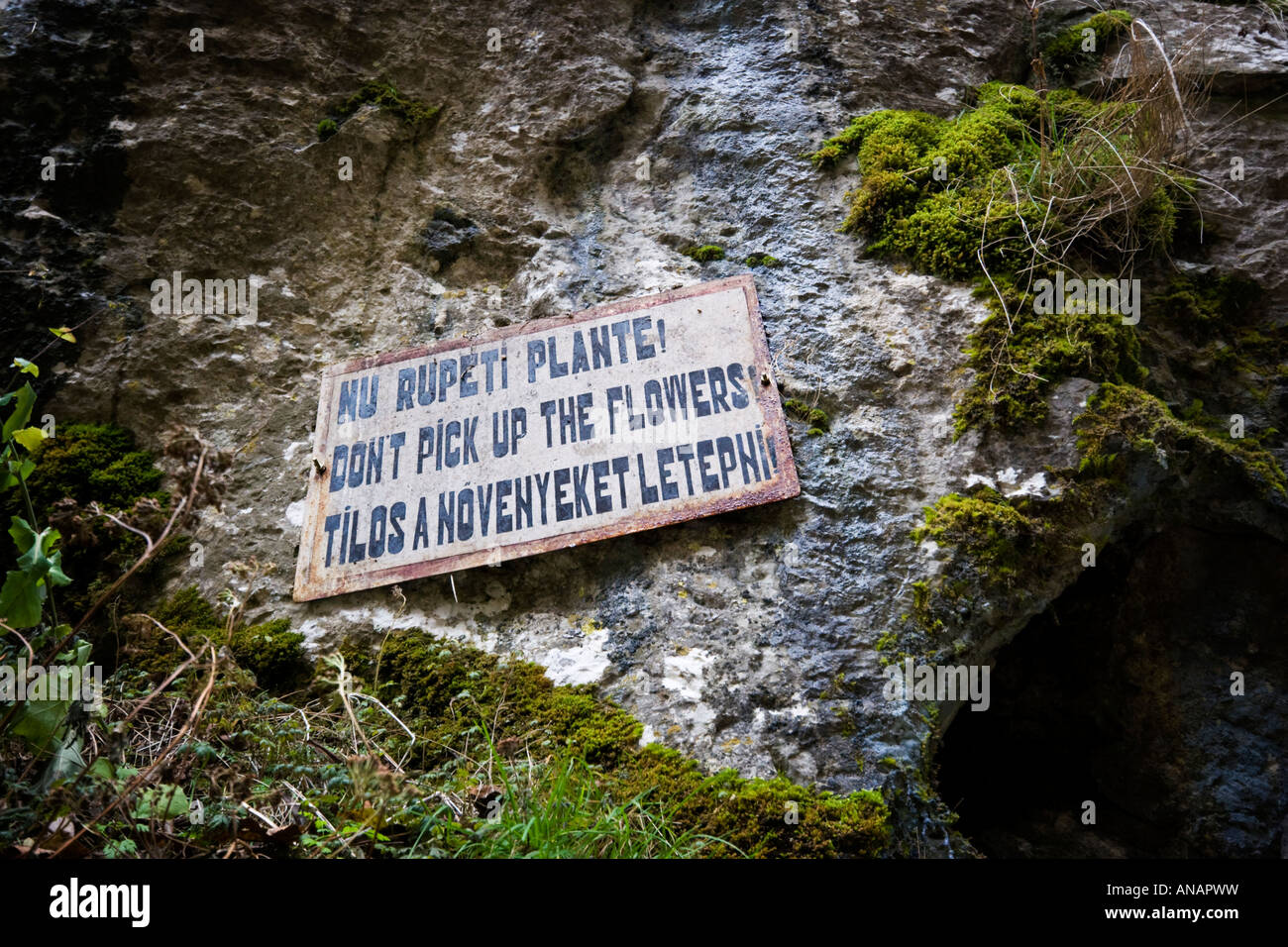 Dont pick the flowers hires stock photography and images Alamy