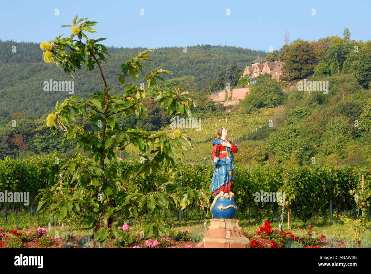 Spanish chestnut, sweet chestnut (Castanea sativa), madonna figure and Kronsburg near St. Martin, Germany, Rhineland-Palatinate Stock Photo