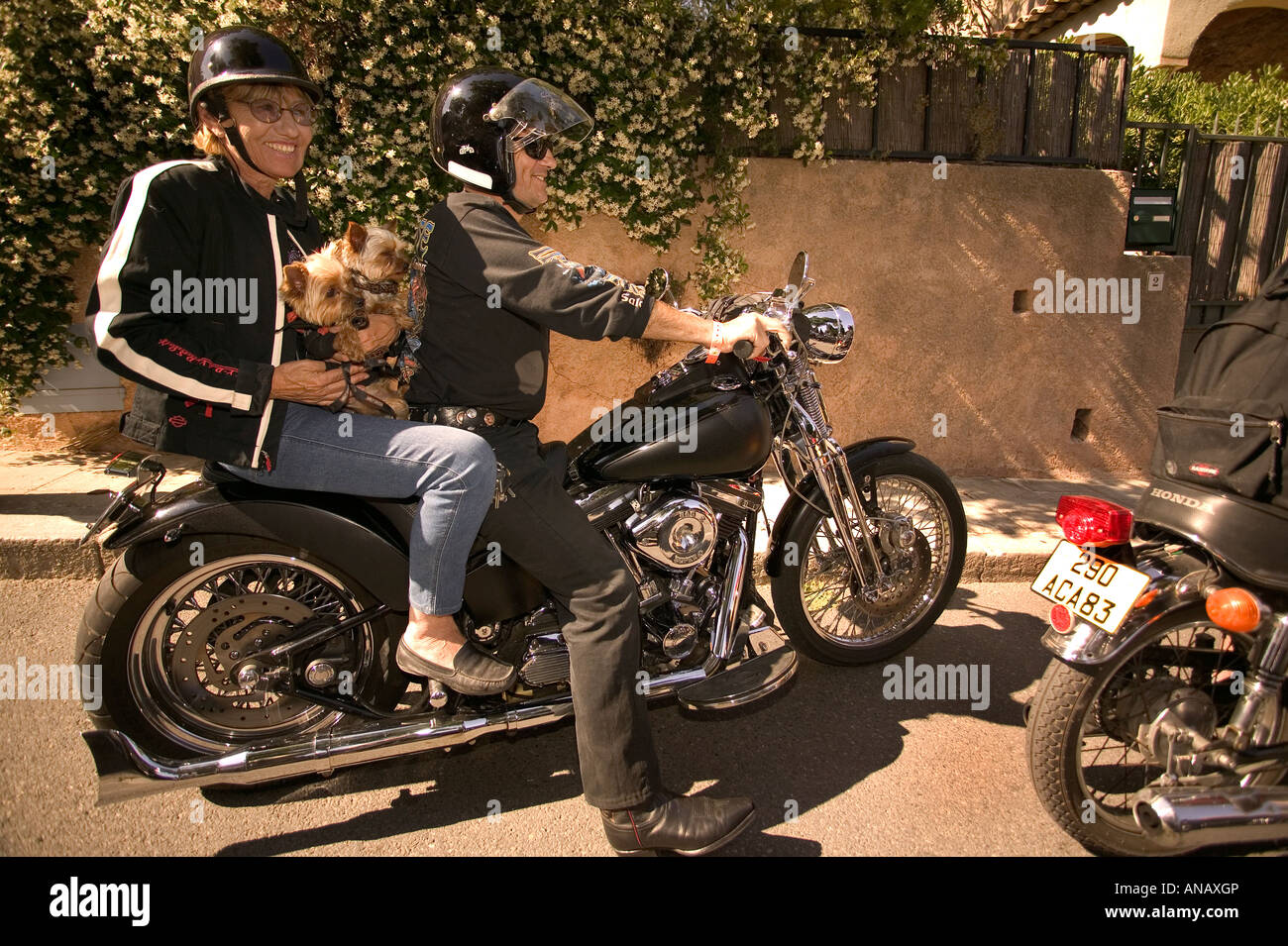 Couple on custom motorcycle with their to dogs Stock Photo Alamy