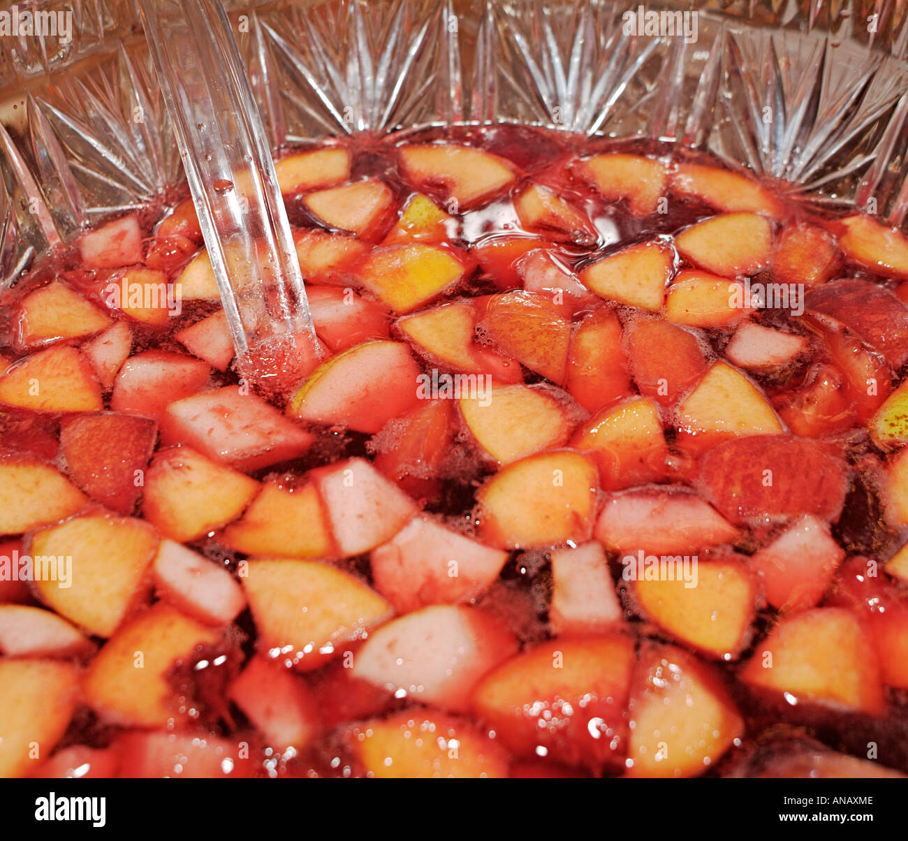 Fruit Punch Bowl Close Up with Mixed Tropical Fruits Laced with a