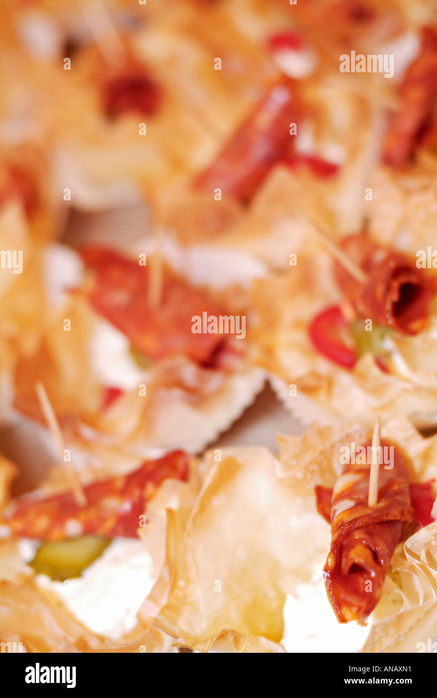 Italian Salami Served in a Pastry Cup with Cottage Cheese and Shredded Mozzarella Cheese Garnished with Tomato and Sliced Gherki Stock Photo