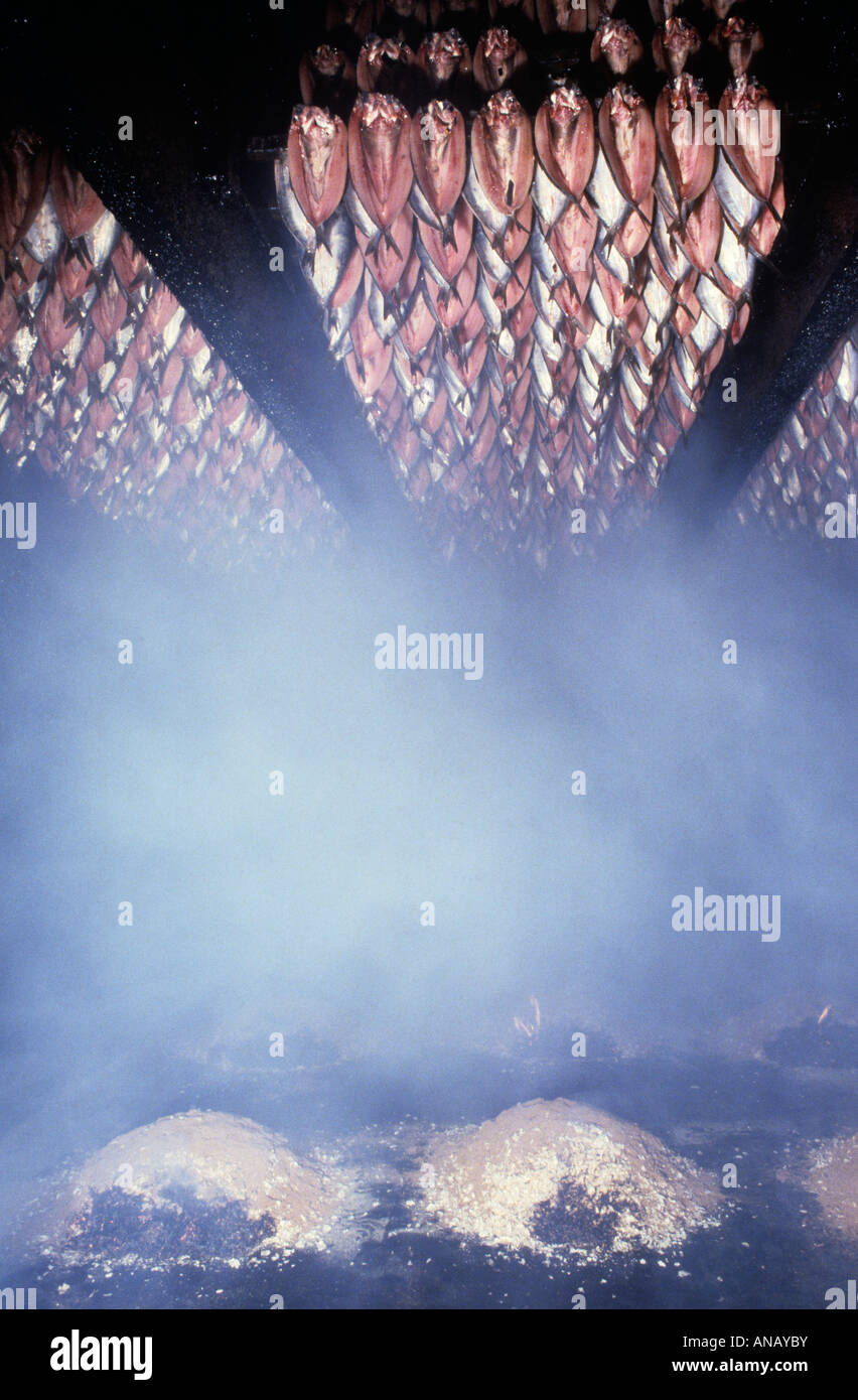 Fish smoking kiln hires stock photography and images Alamy