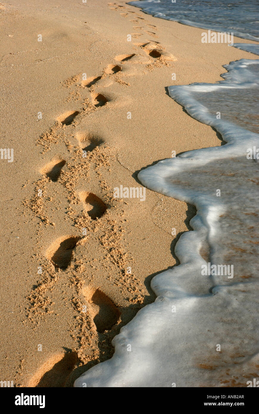 Cancun sand Stock Photo