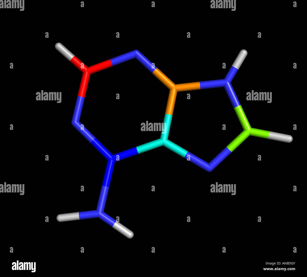 Purine And Pyrimidine Structure